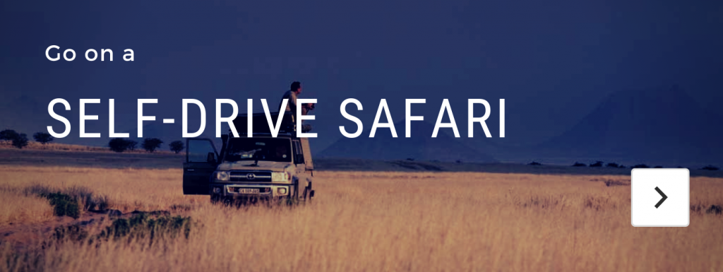 self drive afrikaanse safari