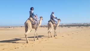 Camel ride in Namibia | Photo credits: Ilona Greef