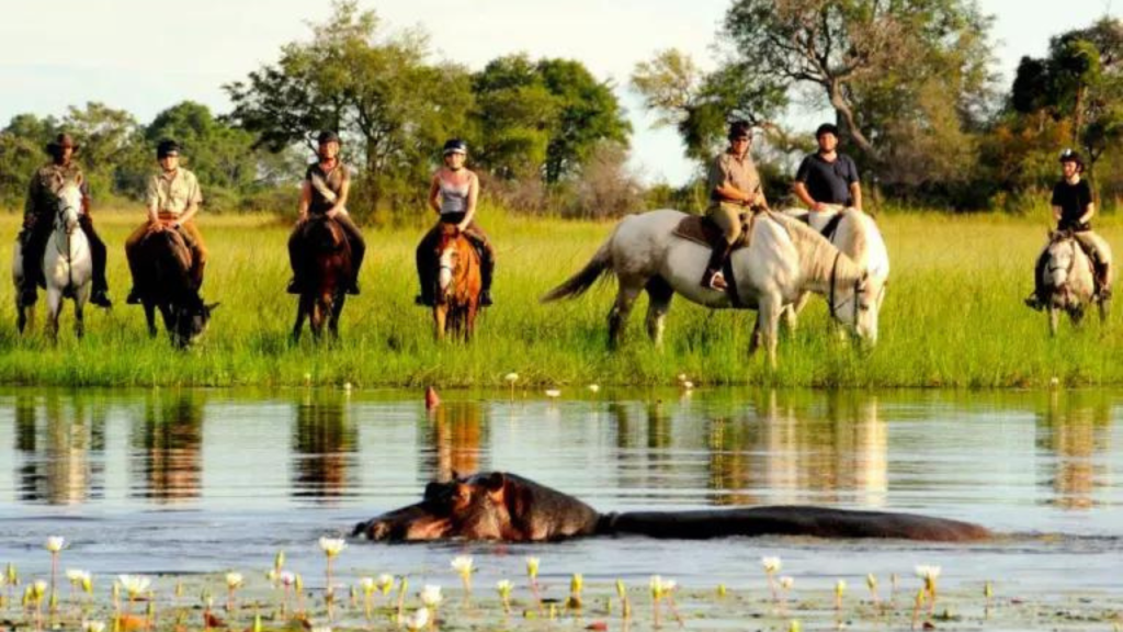 Group of people on a horseback safari in Botswana