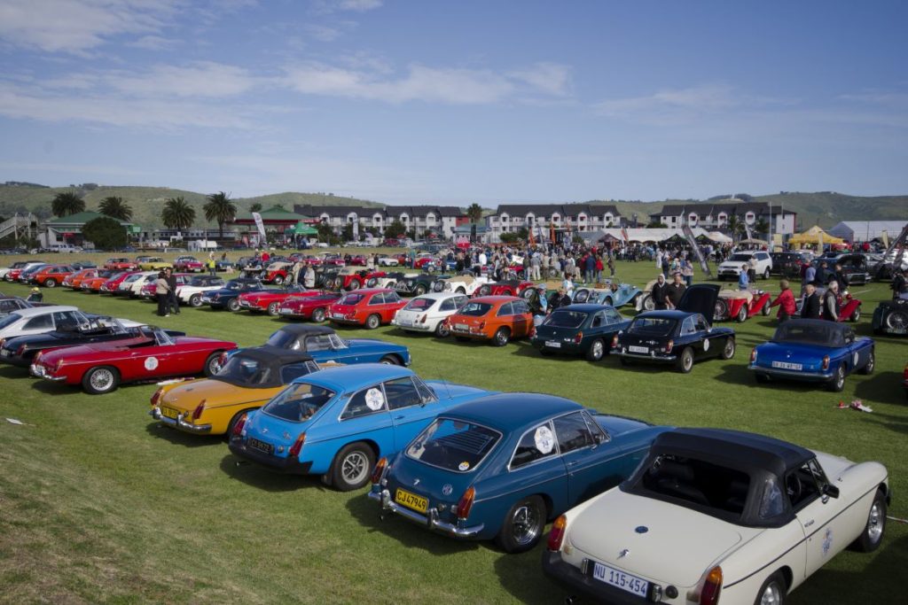 Vintage cars lined up at the Knysna Motor Show.