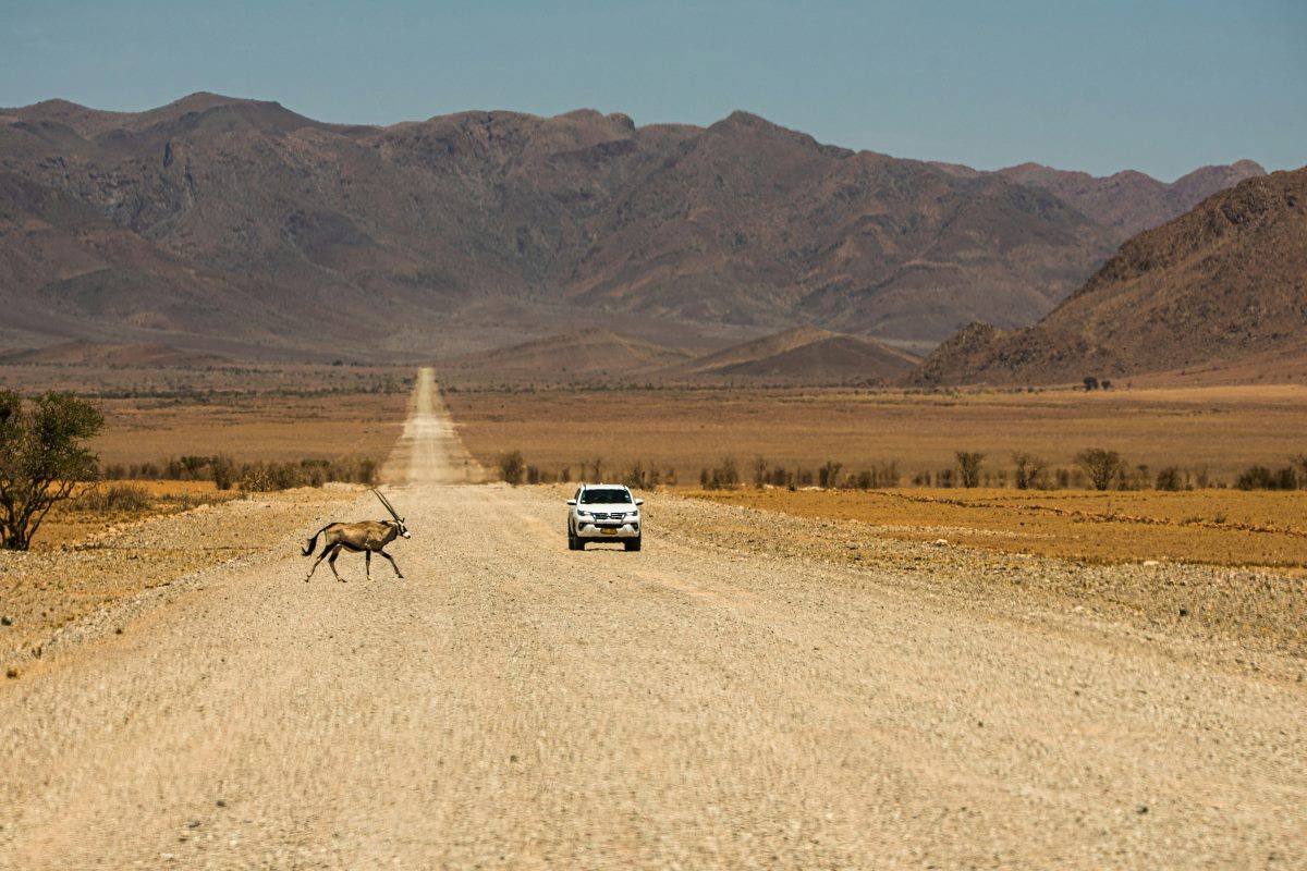 A Toyota Fortuner drives past an oryx in Namibia.
