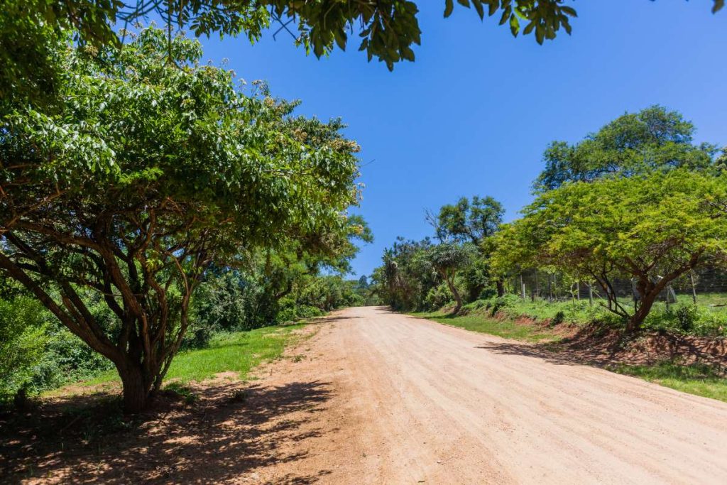 A 4x4 route in Gauteng lined by trees.