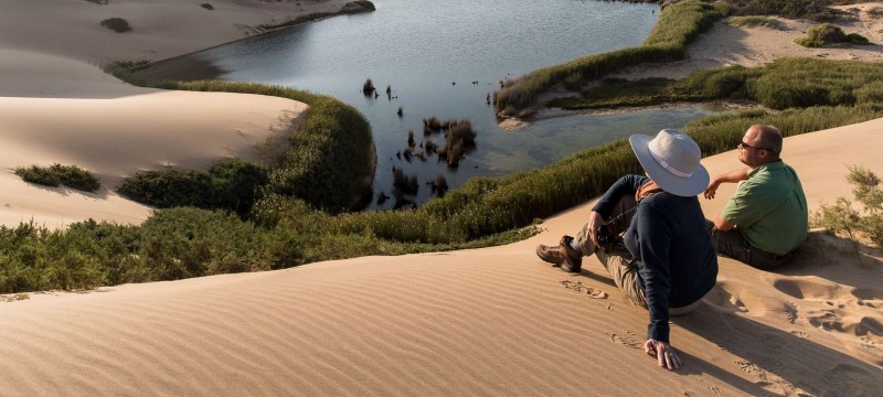 The peaceful austere of the Hoanib River deceives its biodiversity