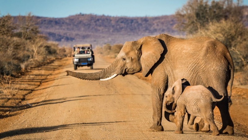 Self-drive through Namibia is an unforgettable experience