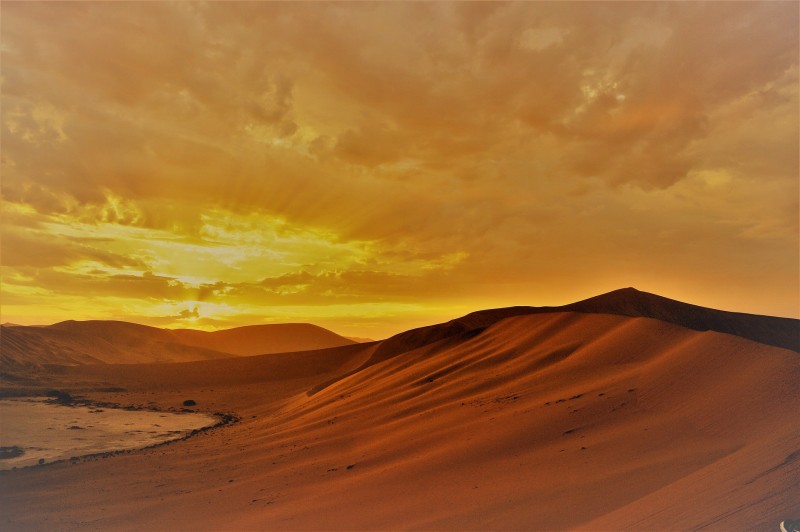 Namib Desert paints a striking portrait